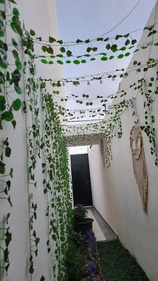 Апартаменты Casa Neptuno Тулум